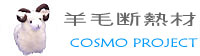 cosmo_project.jpg