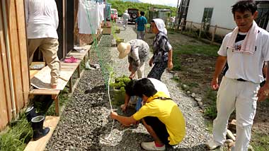volunteer_03.JPG