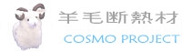 cosmo_project.jpg